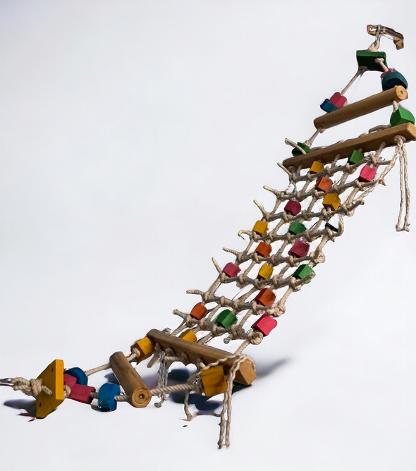 4 Feet Net Hanger for medium Birds