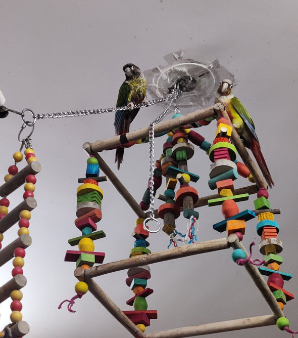 1000161416-scaled.jpg