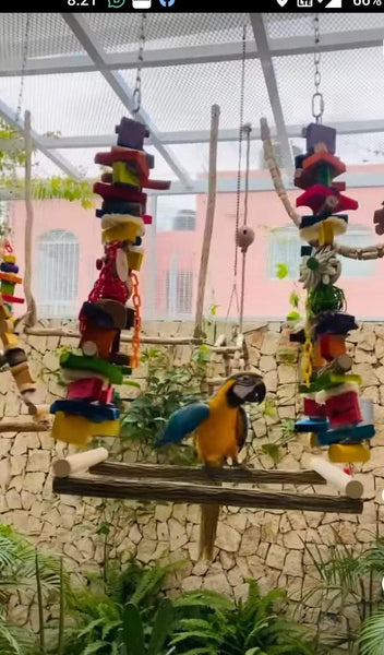 Image showcasing Large Aviary Swing for Macaws . For Medium to Large Birds – Ishika Bird ...