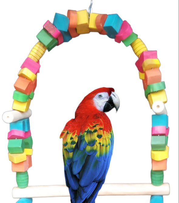 Large Macaw Swing