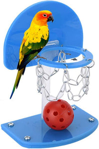Bird Intelligence Basket Ball Loop Toy