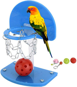 Bird Intelligence Basket Ball Loop Toy
