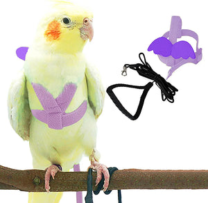 Parrot Harness (Free Flying Rope)