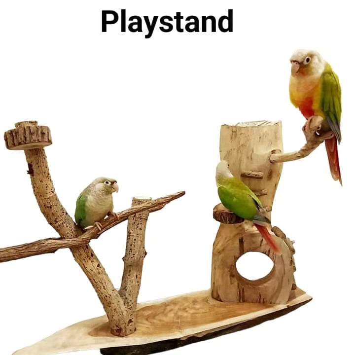 Play Stand Table Top