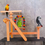 Fancy Activity Cage Top table top Stand