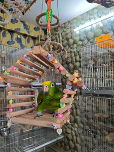 Hut House For All Size Birds