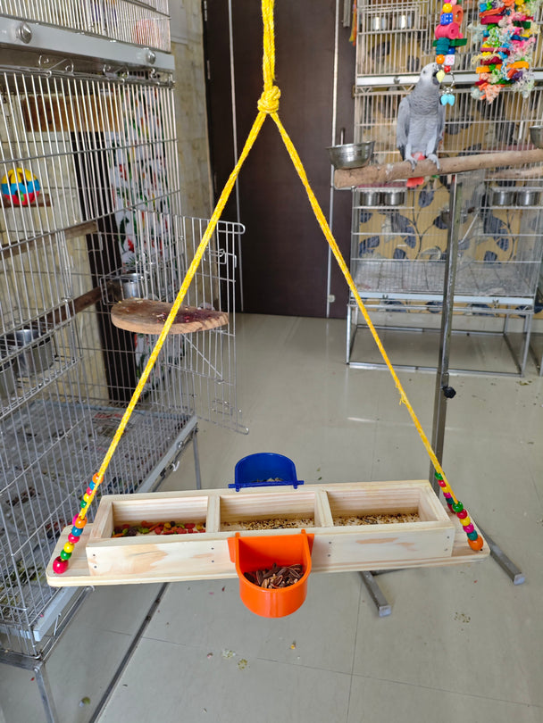 Hanging Feeder+ Swinger