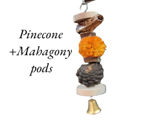 Sola Pinecone + Mahogany Pods