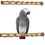 Natural Neem Wood Perch 18 inch Set of 2 perches
