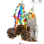 Pinecones ( Set of 6) Make your own Bird Toy