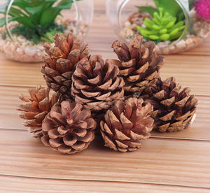 Pinecones ( Set of 6) Make your own Bird Toy