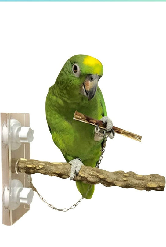 Brand: Dorakitten

Dorakitten Bird Perch Portable Suction Cup Wood Bird Chew Toy Parrot Perch Bird Stand Perch