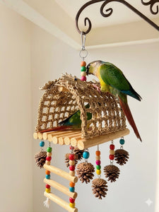 The Nature Nest & Forage Hut