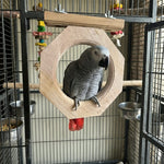 Wooden Window Perch for medium birds