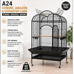 Cage A24