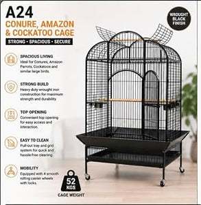 Cage A24