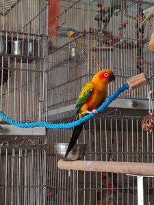 Rope Perch