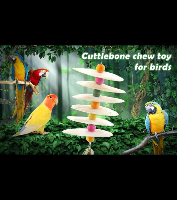 Cuttle Bone Healthy Chewing Toy