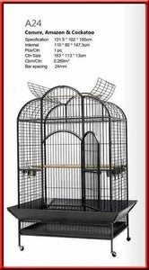 Cage A24