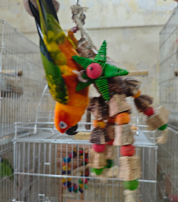 Mahogany Star style Chewing Toy