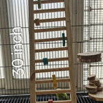 30 inch Wooden Climbing Ladder