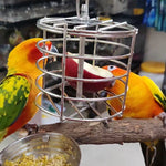 Srainless Steel Foraging Toy