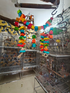 Jungle Hanging toy