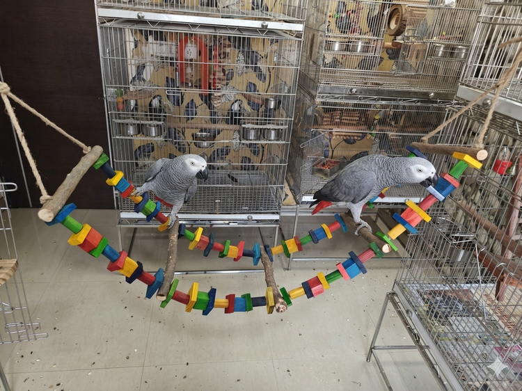 Rainbow Bridge