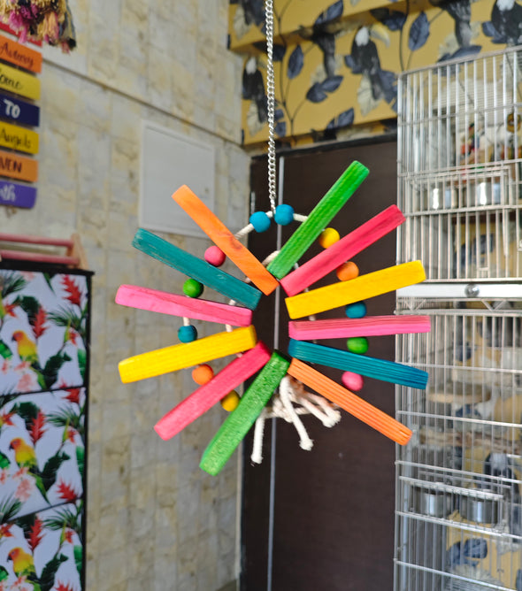 Rainbow Fan Chewing Toy