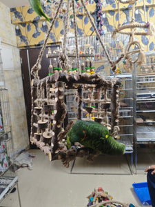 Neem Wood Box Playing Toy