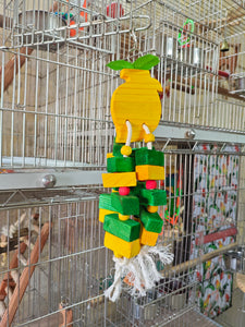 Mango 4 Layer Chewing Fun