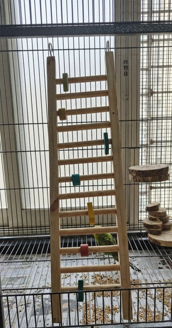 30 inch Wooden Climbing Ladder