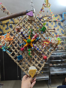 Hay Matt chewing Toy