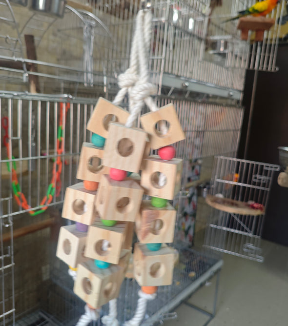 Dise & Disc Cheiwng Toy