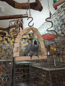 Natural Wood Swing