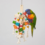 Rope & Dice Chewing Fun