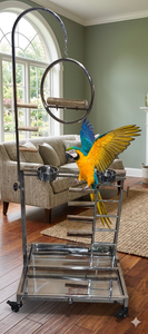 The Horizon Luxury Avian Gym & Playstand
