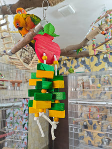 Apple Wooden Chewing Toy