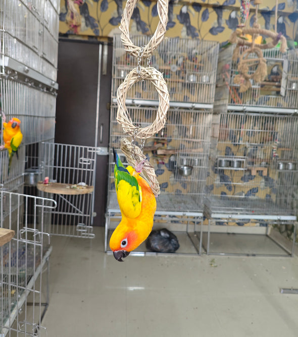 Hay Grass Tripi Swing