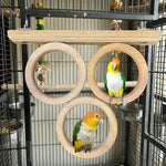 Triple French Window Perch