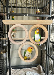 Triple French Window Perch