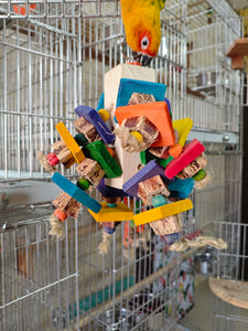 Thick 8 layer Mahagonay Pod Chew Toy