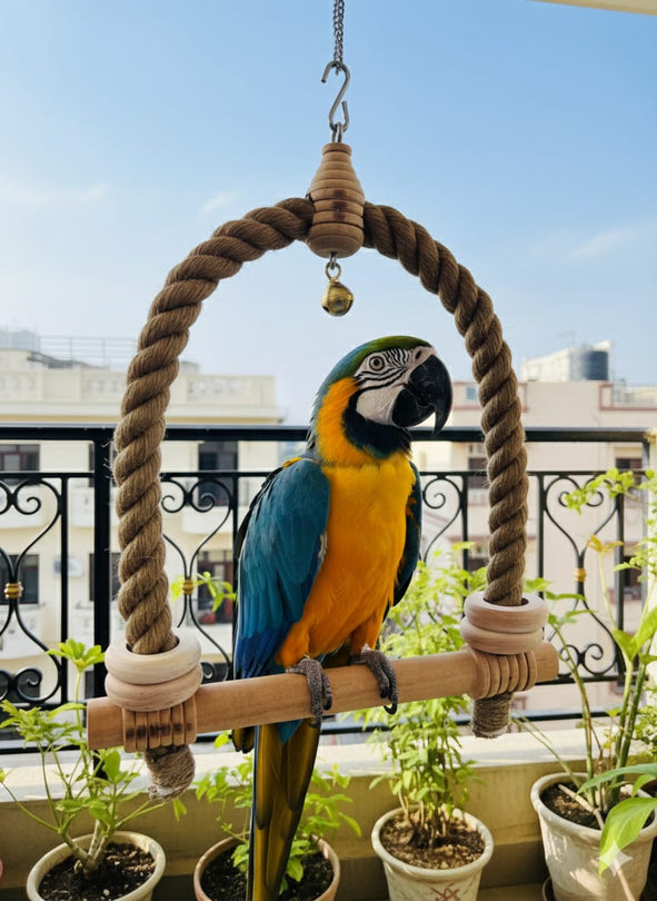 Large Jute Rope Swing