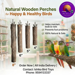 Set of 4 Neem Wood Perches