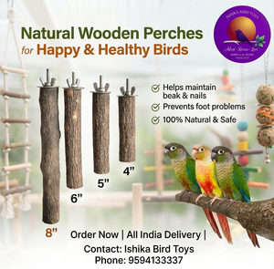 Set of 4 Neem Wood Perches
