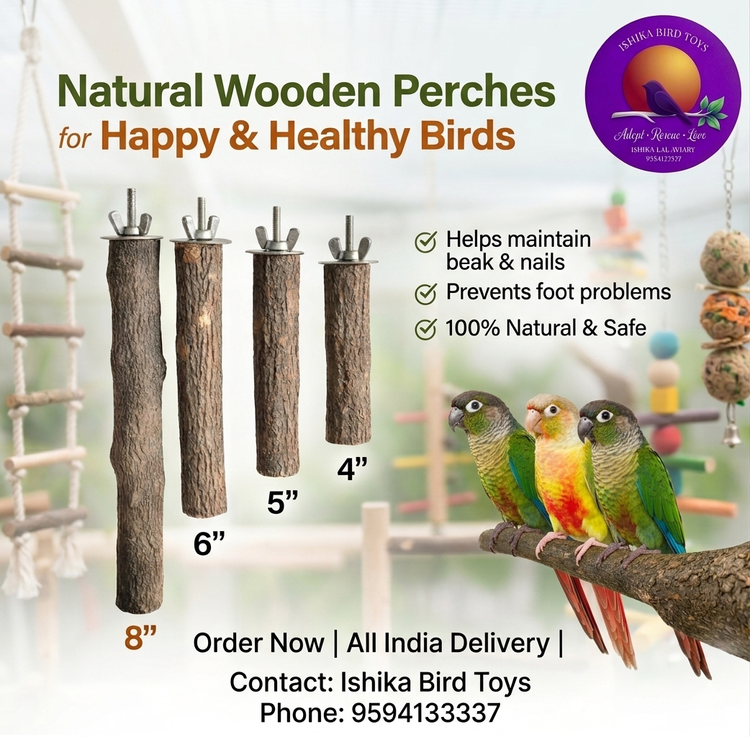 Set of 4 Neem Wood Perches