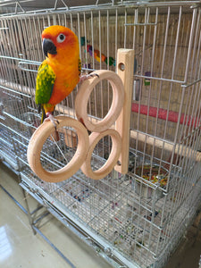 Triple French Window Perch