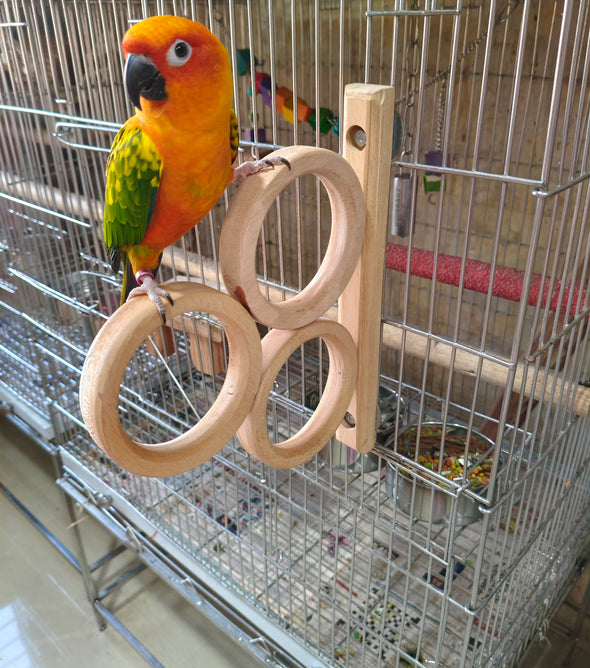 Triple French Window Perch