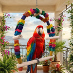 Huge Macaw Wooden Swing