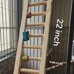 22 inch wooden Ladder